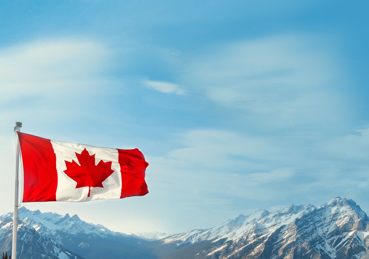 About Vitex Nutrition